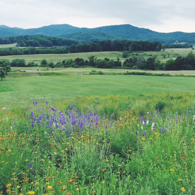 Processed with VSCOcam with f2 preset